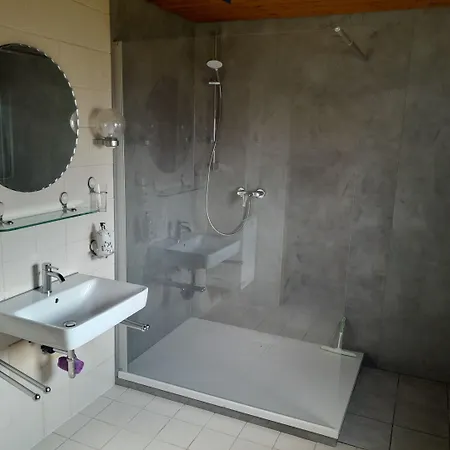 Zum Adler Πανσιόν 2*