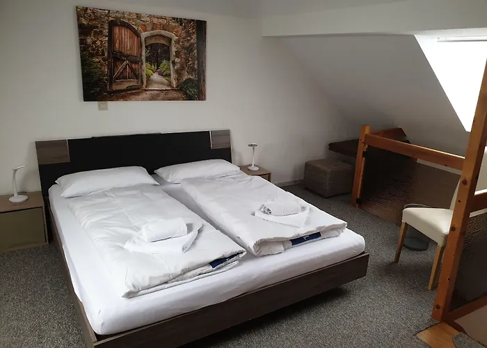 Zum Adler Guest house 2*