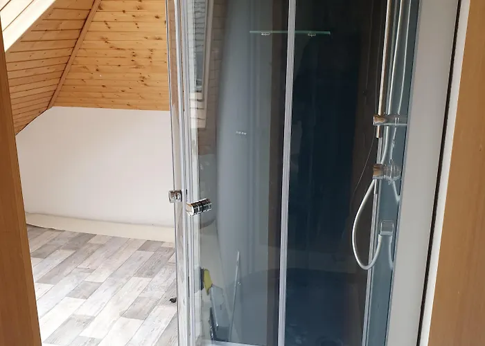 Zum Adler Guest house 2*