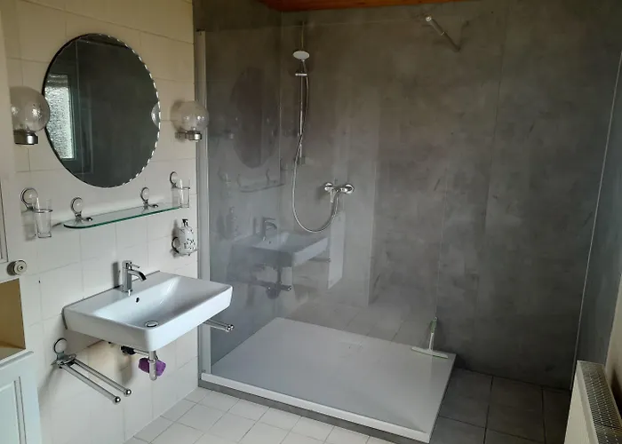 Zum Adler Guest house 2*